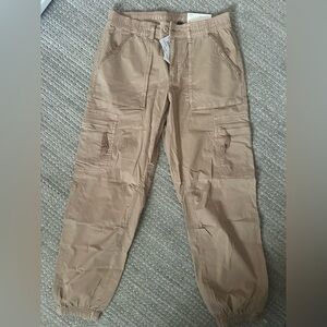 American Eagle Outfitters Cargo Pants